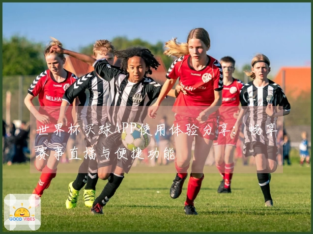 世界杯买球APP使用体验分享：畅享赛事直播与便捷功能